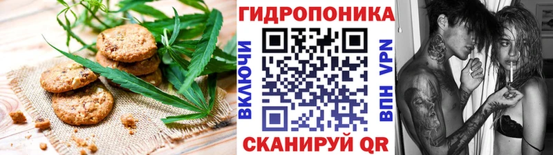 Купить где  Магас  Cannafood конопля 