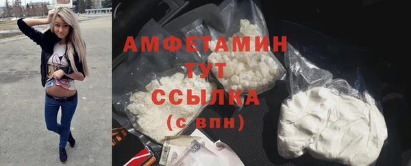гашик Михайловск