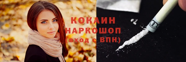 гашик Михайловск