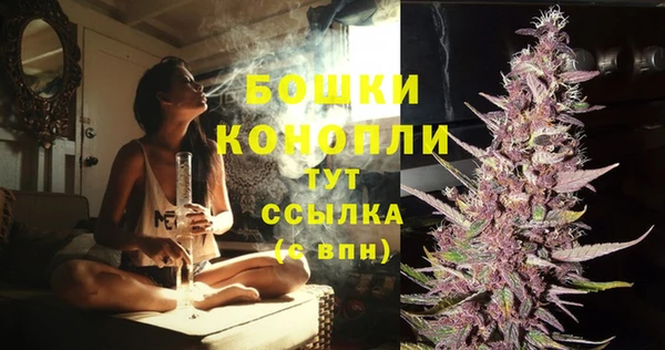 гашик Михайловск